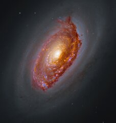 NASA Image of the day