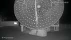 APEX Radio Telescope